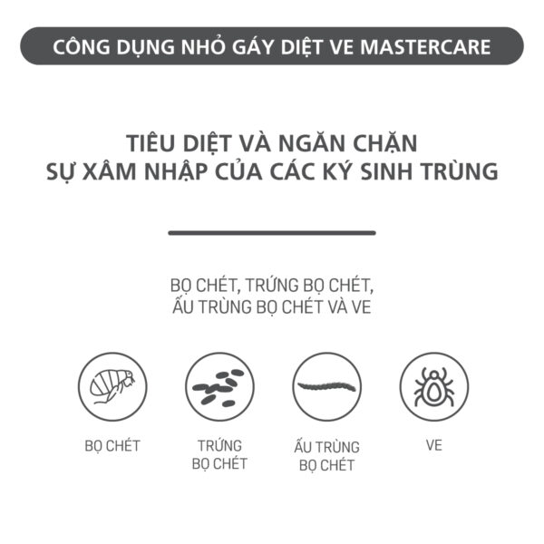 Nhỏ ve gáy MasterCare-4