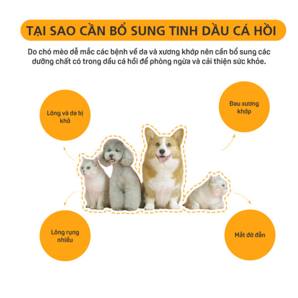 Dầu Cá Hồi Dưỡng Lông MasterCare-5