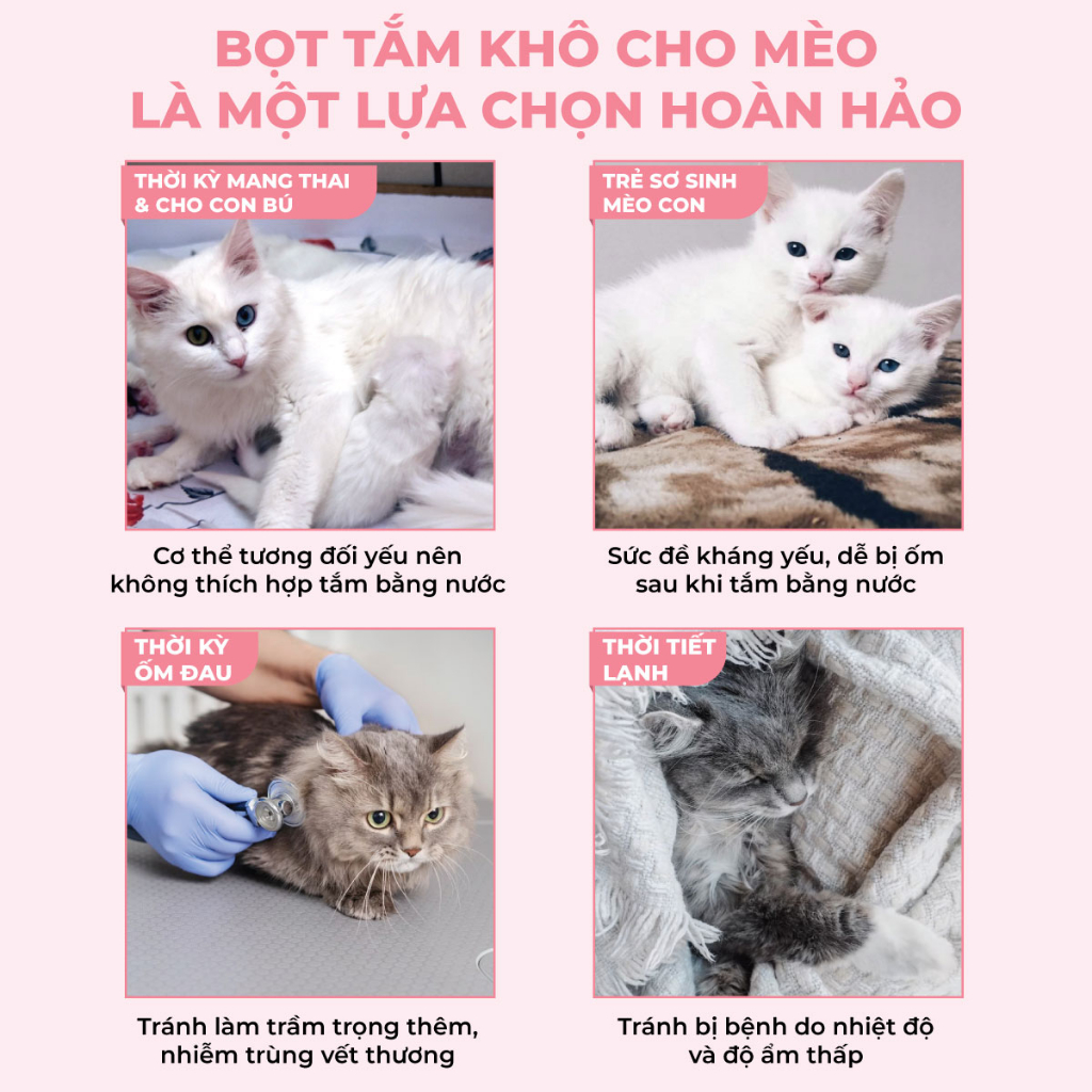 ƯU ĐIỂM BỌT TẮM KHÔ CHO MÈO MASTERCARE