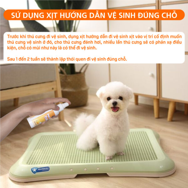 Xịt đi vệ sinh đúng chỗ chó mèo MasterCare-4