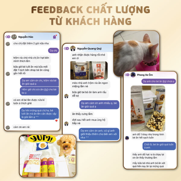 Feedback hạt và pate-1