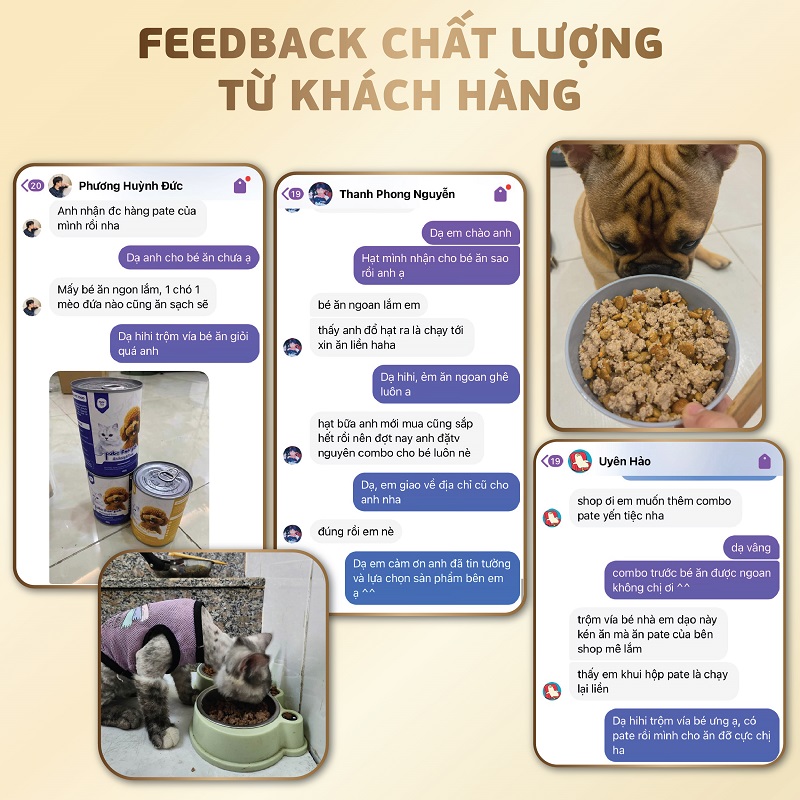 feedback khách hàng