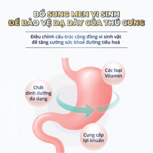 Gel dinh dưỡng cho chó mèo MasterCare 120g-2