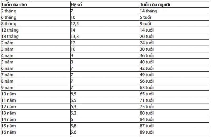 Cách tính tuổi chó chính xác 