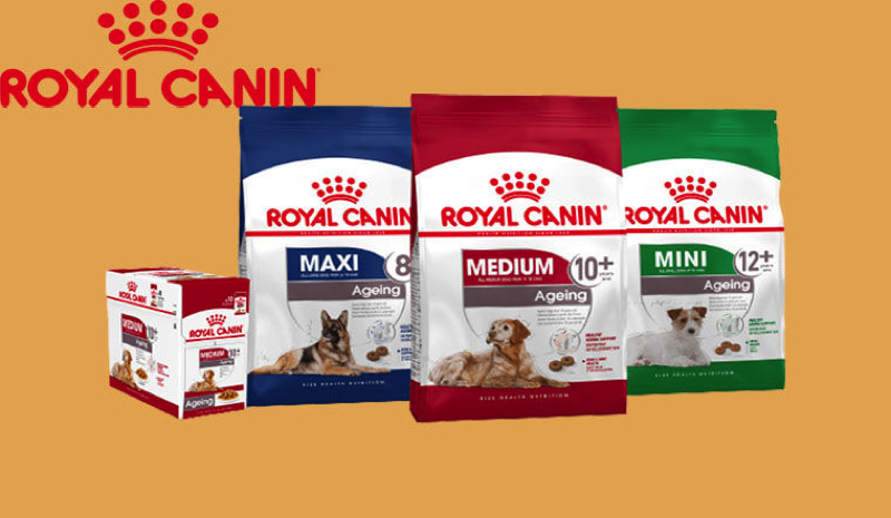 Thức ăn hạt khô Royal Canin