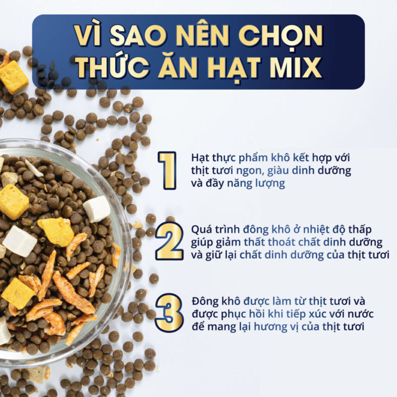 Thức ăn hạt cho chó MasterCare tốt nhất hiện nay