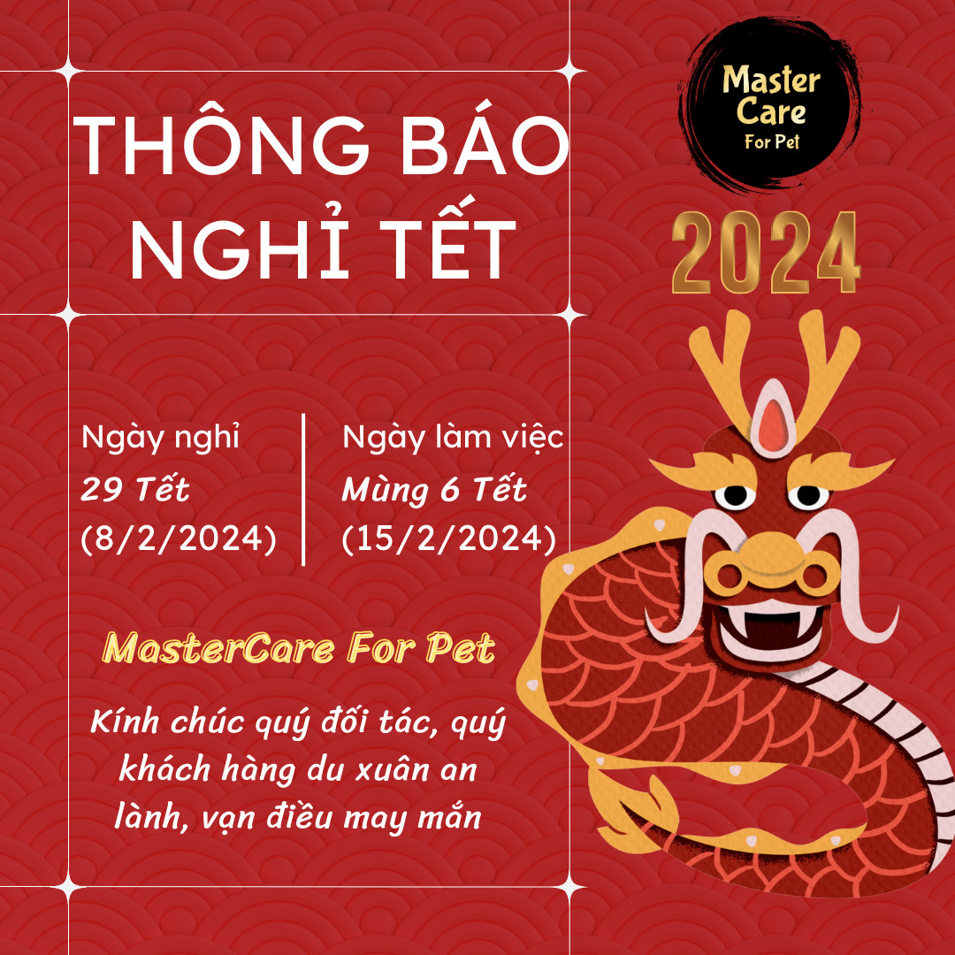 lịch nghỉ tết